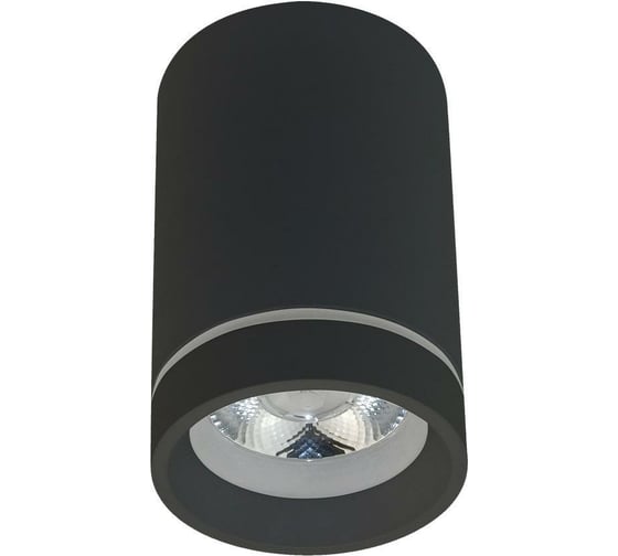 Потолочный светильник Aployt APL.0054.19.10 1