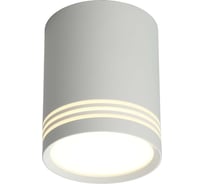 Потолочный светодиодный светильник Omnilux OML-100109-12