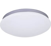 Потолочный светодиодный светильник F-promo 2467-2C