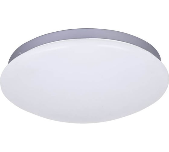 Потолочный светодиодный светильник F-promo 2467-2C 1