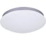 Потолочный светодиодный светильник F-promo 2467-2C 1