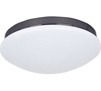Потолочный светодиодный светильник F-promo 2468-2C