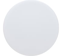 Потолочный светодиодный светильник Lightstar 225264