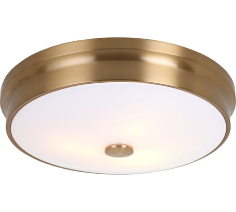 Потолочный светильник Favourite 2375-3C