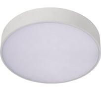 Потолочный светильник Aployt APL.0114.09.18