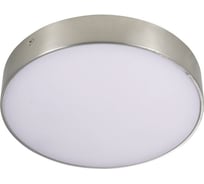 Потолочный светильник Aployt APL.0114.19.24