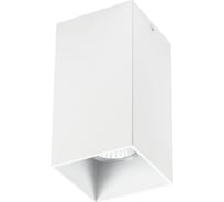 Потолочный светильник Lightstar 216586