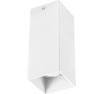 Потолочный светильник Lightstar 216386