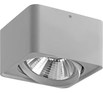 Потолочный светильник Lightstar 212619