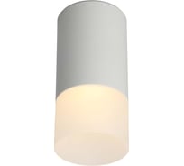 Потолочный светильник Omnilux OML-100609-01