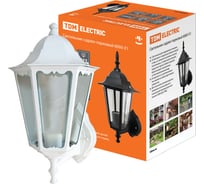 Светильник уличный шестигранник TDM ELECTRIC, 60Вт, вверх, белый SQ0330-0061