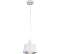Подвесной светильник F-promo 1681-1P