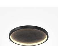 Потолочный светильник MAYTONI Orign Черный MOD311CL-L40B3K