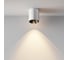 Потолочный светильник MAYTONI Alfa LED Бело-черный C064CL-8W3K-RD-WB 5