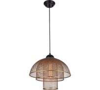 Подвесной светильник Favourite 2034-1P