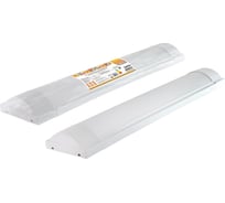 Светодиодный светильник TDM ELECTRIC LED ДПО 3017 1800 лм 2х9 Вт, 4000К термопак Народный SQ0329-0147