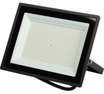 Прожектор светодиодный уличный ЭРА LPR-023-0-40K-100 100Вт 4000К 8000лм IP65 Б0067693