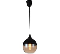 Подвесной светильник Favourite 1593-1P