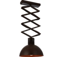 Подвесной светильник Favourite 1761-1U