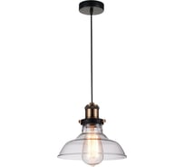 Подвесной светильник Favourite 1876-1P