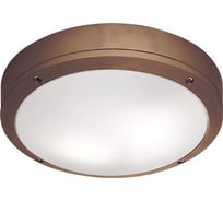 Уличный настенно-потолочный светильник Viokef Leros Round 4049203