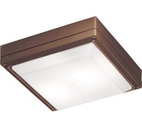 Уличный настенно-потолочный светильник Viokef Leros SQ 4049303