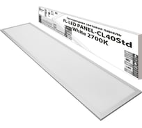Светодиодная плоская панель FL-LED PANEL-CL40Std White 2700K 1195x295x10мм 40Вт 4000Лм БП в комплекте 616562