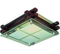 Потолочный светильник Omnilux OML-40507-02
