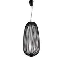 Подвесной светодиодный светильник Favourite 2100-2P