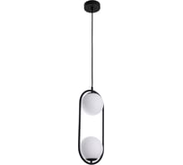 Подвесной светильник ARTE LAMP MATISSE A7745SP-2BK