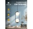 Подвесной светильник ARTE LAMP MATISSE A7745SP-2BK 3