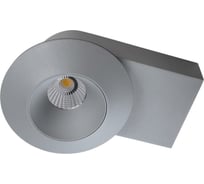 Потолочный светодиодный светильник Lightstar 051219