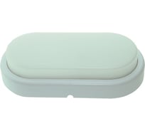 Светильник FL-LED SOLO-Ellipse С 12W 4200K овальный IP65 1080Лм 12Вт 165x80x50мм 610089