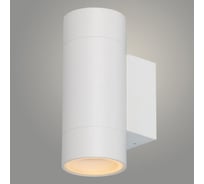 Светильник уличный настенный РОСТОК SJ20112-2W белый 2*GU10 h160, SHJ22 9880274599