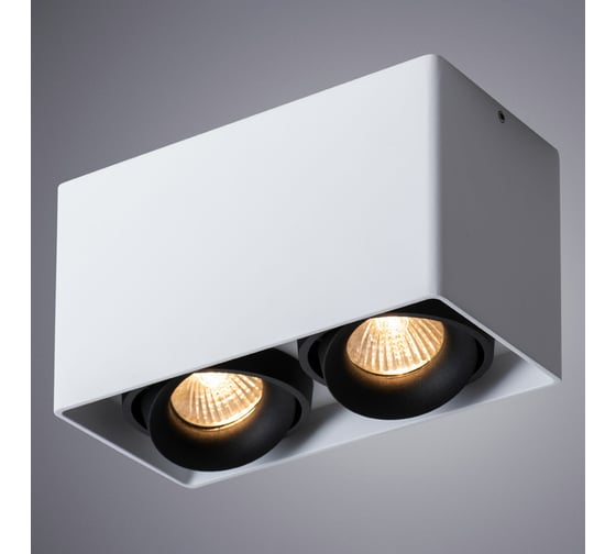 Потолочный светильник Arte Lamp PICTOR A5654PL-2WH
