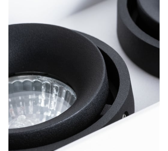 Потолочный светильник Arte Lamp PICTOR A5654PL-2WH