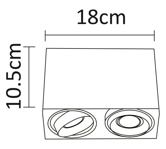 Потолочный светильник Arte Lamp PICTOR A5654PL-2WH
