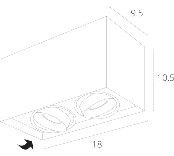 Потолочный светильник Arte Lamp PICTOR A5654PL-2WH