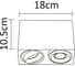 Потолочный светильник Arte Lamp PICTOR A5654PL-2WH 4