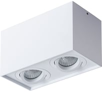 Потолочный светильник Arte Lamp FACTOR A5544PL-2WH