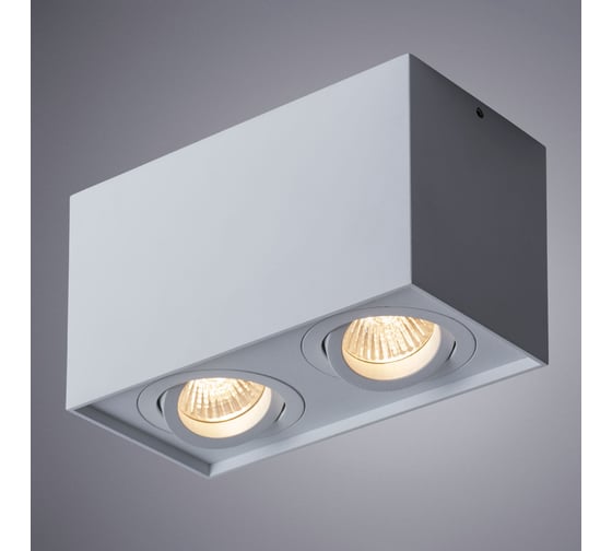 Потолочный светильник Arte Lamp FACTOR A5544PL-2WH