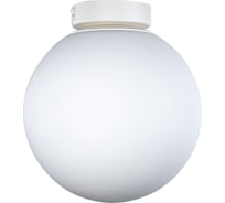 Светильник потолочный ЭЛЕТЕХ Шар-звездное небо 200 опал. бел.мат. НПБ 01-60-111 Е14 1005405452