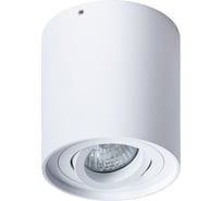 Потолочный светильник Arte Lamp FALCON A5645PL-1WH