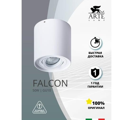 Потолочный светильник Arte Lamp FALCON A5645PL-1WH