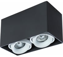 Потолочный светильник Arte Lamp PICTOR A5654PL-2BK