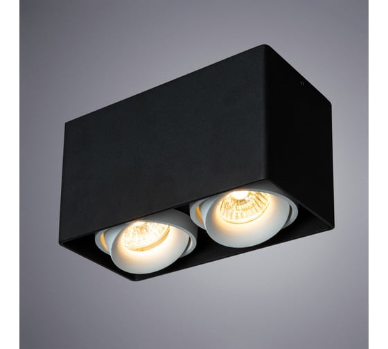 Потолочный светильник Arte Lamp PICTOR A5654PL-2BK