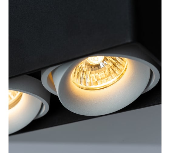 Потолочный светильник Arte Lamp PICTOR A5654PL-2BK