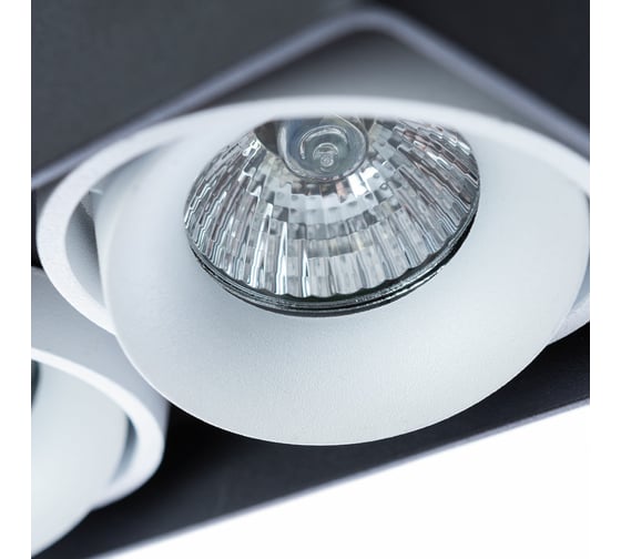 Потолочный светильник Arte Lamp PICTOR A5654PL-2BK