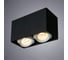 Потолочный светильник Arte Lamp PICTOR A5654PL-2BK 2