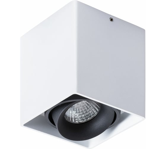 Потолочный светильник Arte Lamp PICTOR A5654PL-1WH